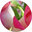 Fatima Haider profile picture
